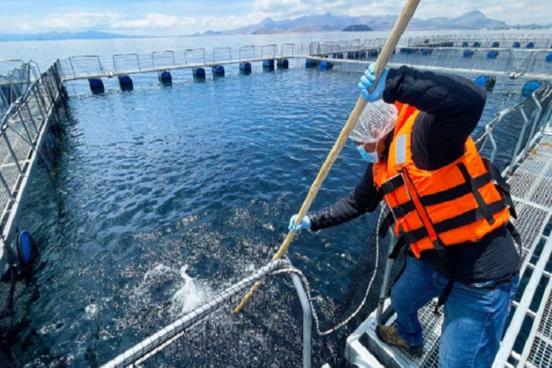 Produce ejecutó la investigación científica en Puno a bordo del buque BIC IMARPE VIII entre el 4 y el 8 de agosto de 2025. (Andina)
