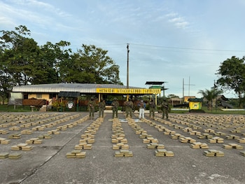 El material incautado fue entregado