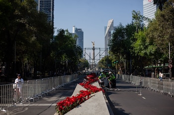 Comienza la instalación sobre Avenida