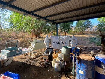 En el sitio fueron hallados