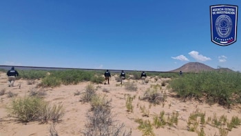 Hallan más restos óseos en el campo de exterminio El Willy, en Chihuahua donde opera La Línea: ya serían cerca de 100 cadáveres