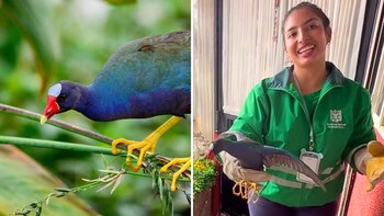 Visita inesperada a una casa