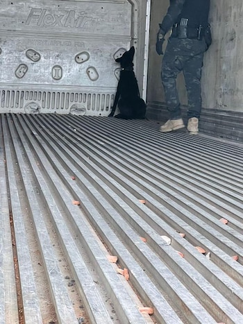 El cargamento fue puesto a