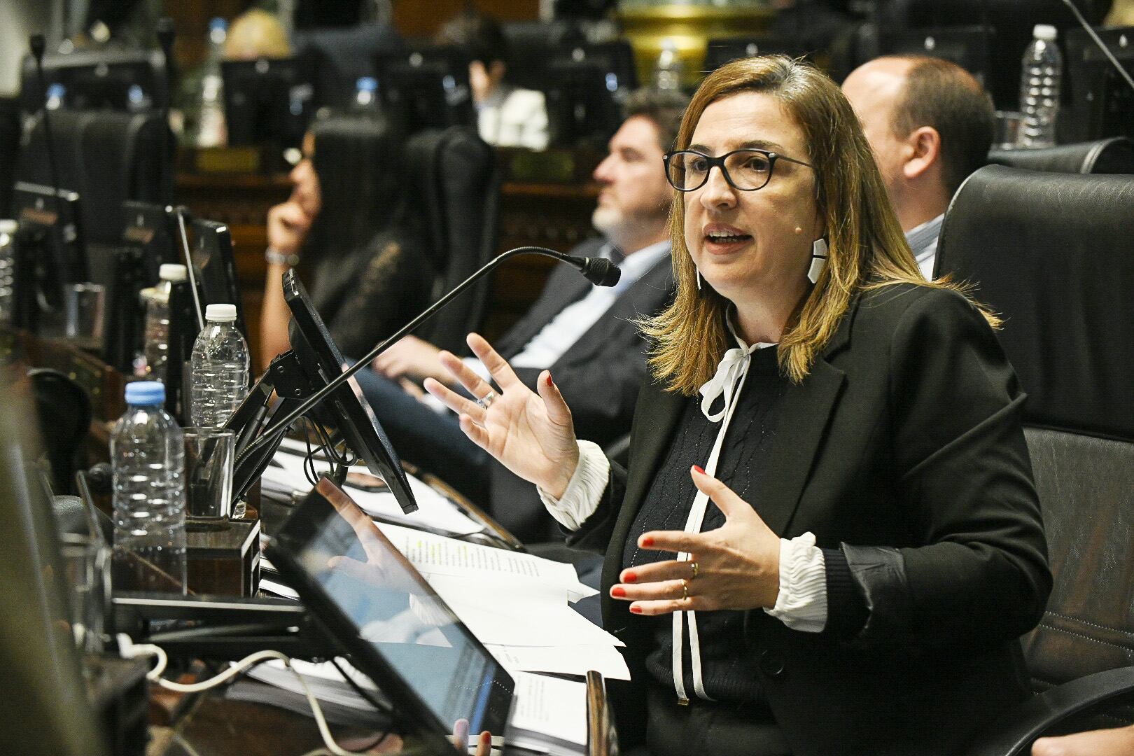 La legisladora porteña Claudia Neira