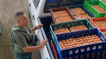 Costa Rica decomisa más de 14 toneladas de pollo, huevos, mariscos y frutas que eran transportados en condiciones insalubres
