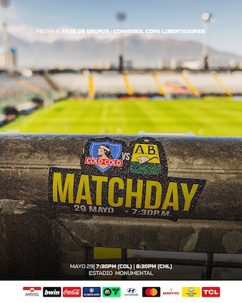 El cuadro Leopardo ya se encuentra en el estadio Monumental de Santiago de Chile - crédito @ABucaramanga / X