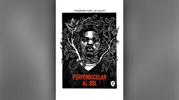 'Perpendicular al sol', de Valentine