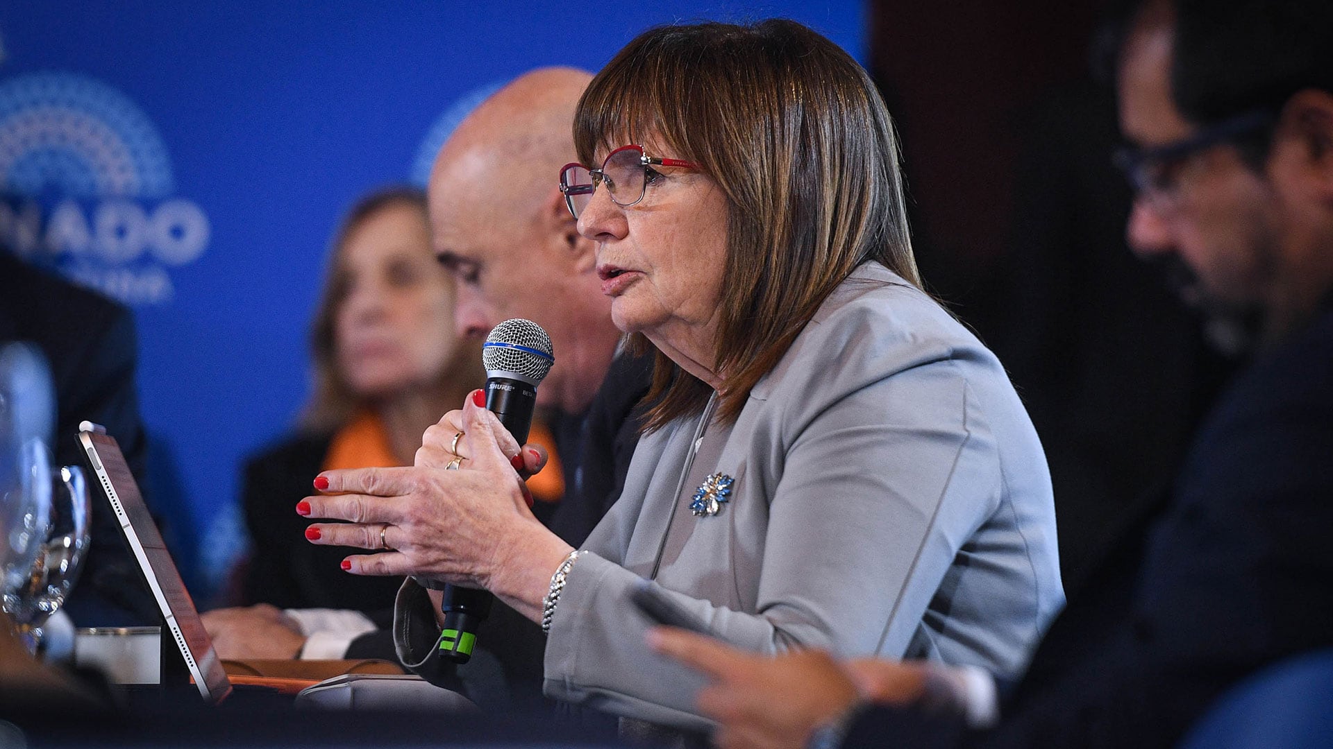 Bullrich busca los votos para eliminar las PASO (Charly Diaz Azcue / Comunicación Senado)