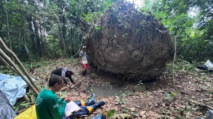 Las urnas, descubiertas tras la caída de un árbol, muestran técnicas cerámicas avanzadas y simbolismo ritual (Márcio Amaral/Geórgea Layla Holanda)