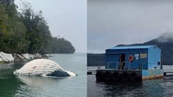 Desde el Gobierno ya iniciaron