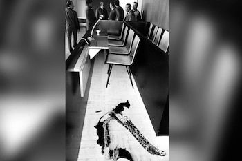 Las manchas de sangre que