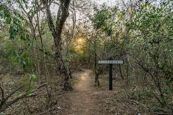 Parque Nacional El Impenetrable - Paraje La Armonía - La Fidelidad