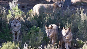 El Supremo confirma la anulación