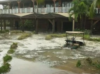 Edificio de dos plantas, tres cobertizos con techo de lona, palmeras, un carrito de golf semisumergido y terreno cubierto de agua y residuos