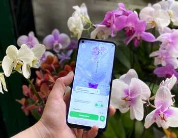 Mercado de Flores se digitaliza.