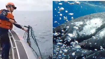 La operación de búsqueda y