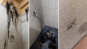 Decidió prestar su departamento a