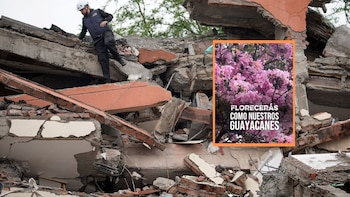 Estas son las imágenes virales de los coloridos Guayacanes en Cali tras el terremoto: “Cali volverás a florecer”