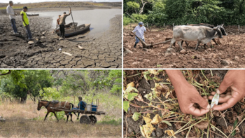 Nicaragua incrementó las ventas externas de hortalizas hacia Centroamérica ante la escasez de alimentos en los países vecinos. (La Prensa)