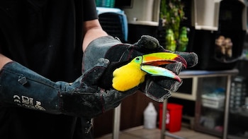 Una intervención policial reveló las