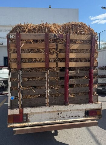 Detienen en Nuevo León al conductor de una camioneta con 200 kilos de marihuana