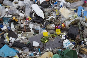 CLIFFE, KENT - JANUARY 02: