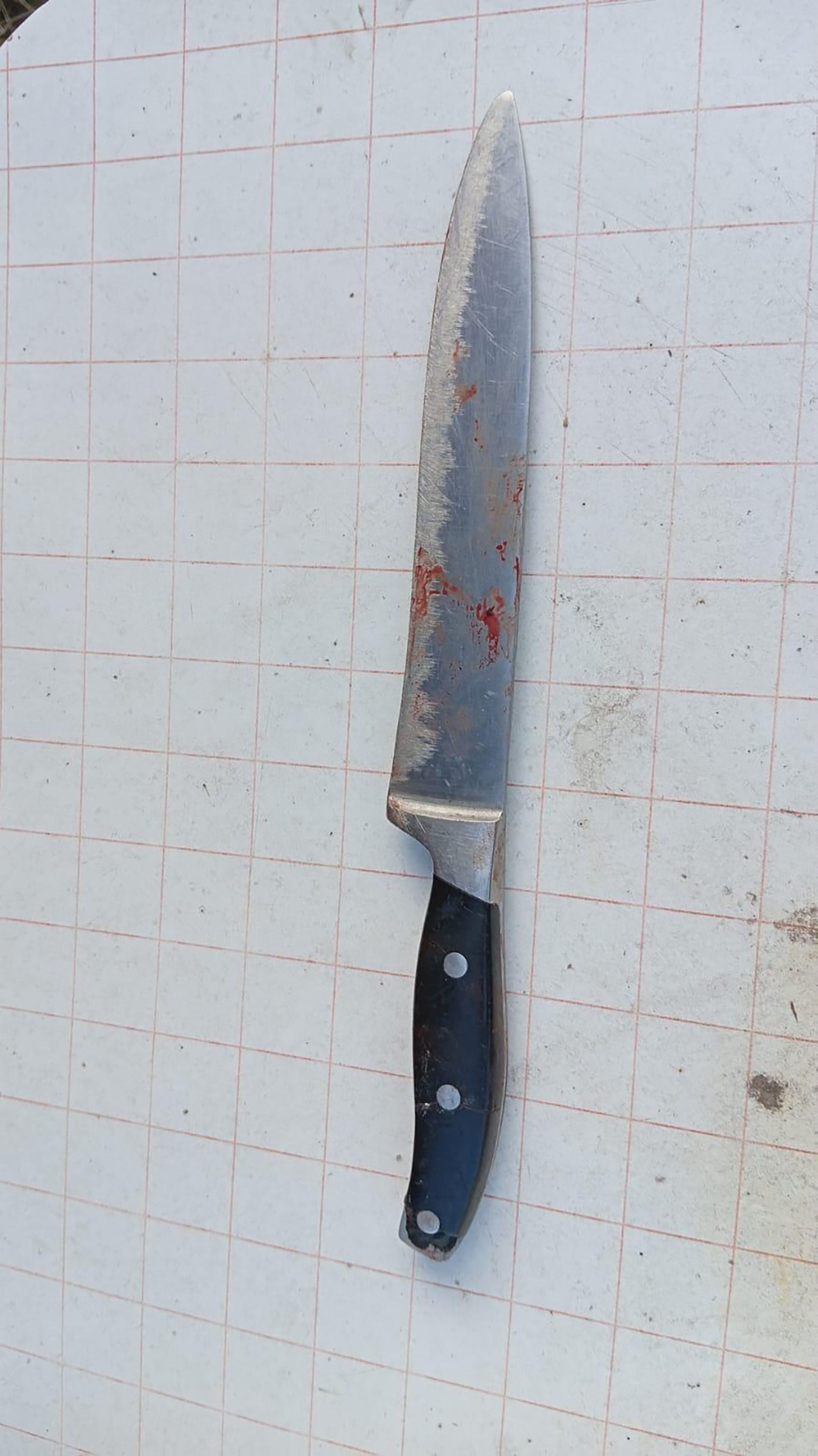 El arma homicida.
