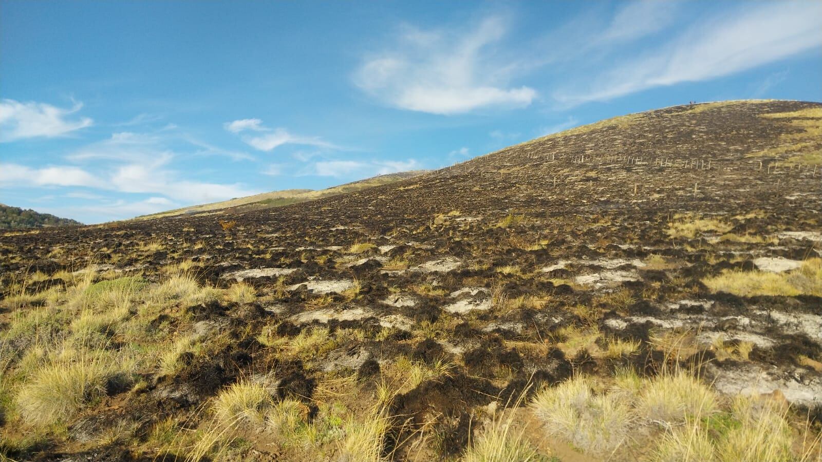 El viento y la sequedad del ambiente favorecieron la propagación del fuego en Esquel según autoridades provinciales