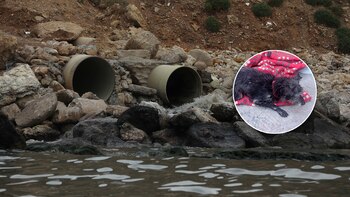 Un vecino de la alcaldía