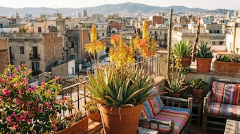 Primer plano de un gran agave en flor con flores amarillas y naranjas en una terraza. Al fondo, edificios de ciudad y montañas bajo un cielo claro.