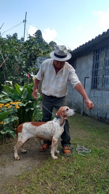 El proyecto fue presentado ante