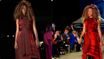 Este es el vestido que