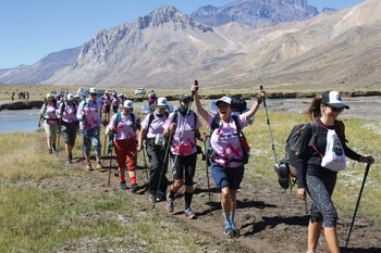 A diferencia de el edición