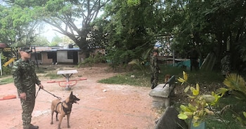 La granada fue encontrada por menores mientras jugaban en una zona boscosa cercana al colegio Nazareth, en la comuna 7 de Ibagué- crédito El Irreverente