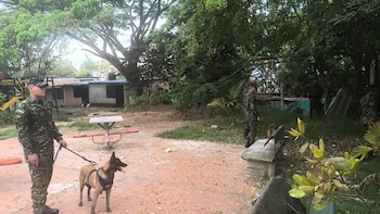 Niños hallaron una granada enterrada cerca de un colegio en Ibagué y autoridades activaron operativo antiexplosivos