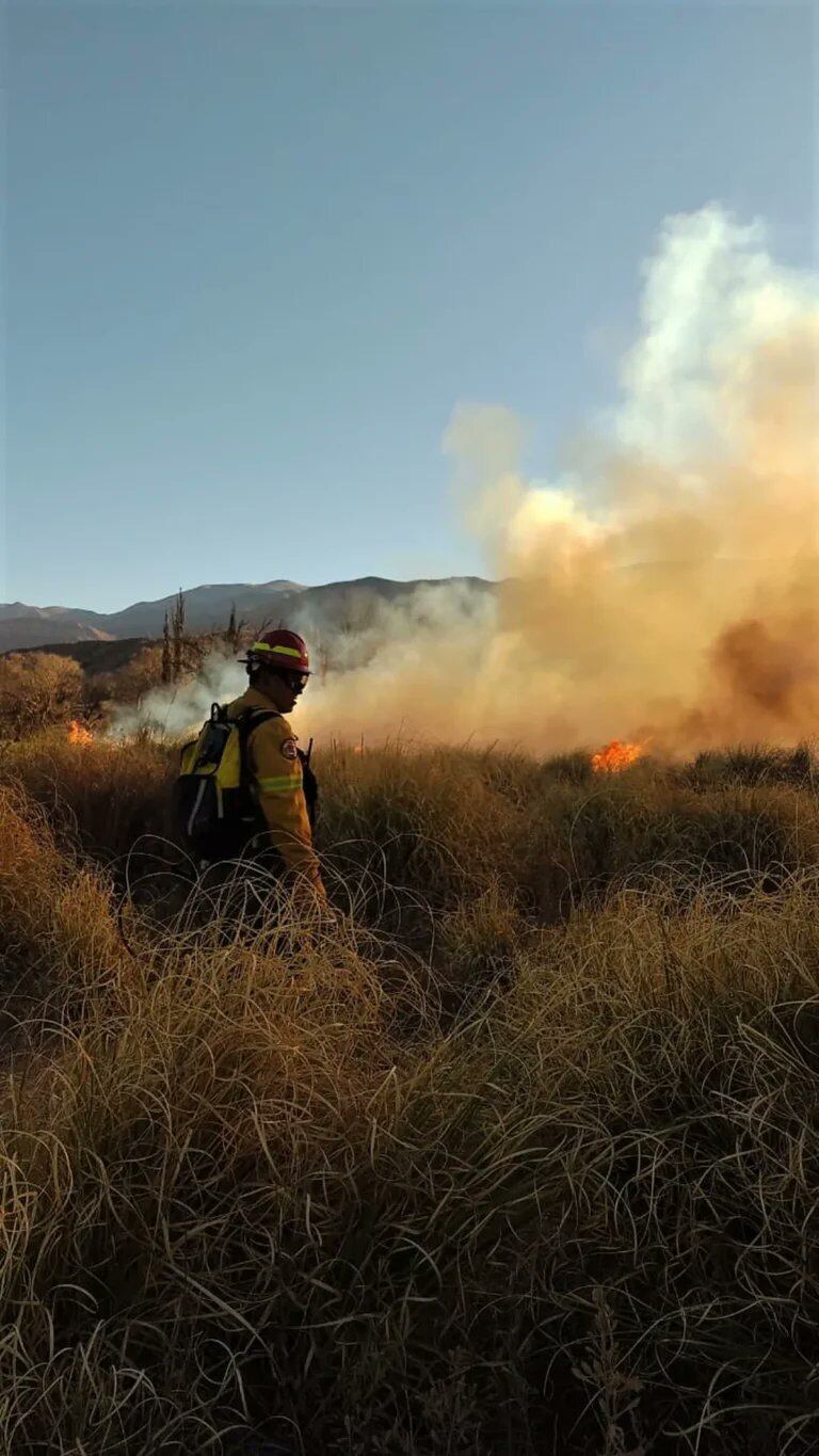 Las llamas se iniciaron el miércoles (Foto: @PDV_jujuy)