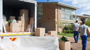 El impacto de la contaminación