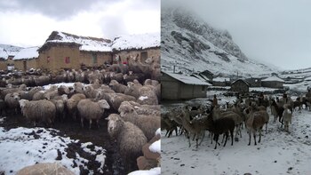 Temperaturas mínimas impactarían a distintos