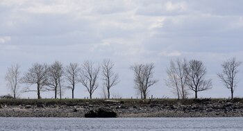 (AP Photo/Seth Wenig)