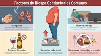 Infografía de seis paneles sobre factores de riesgo: tabaquismo, obesidad, inactividad, consumo de alcohol, y carne roja y procesada.