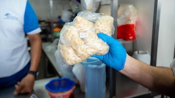 Foto archivo. El operativo especial busca asegurar el cumplimiento de la Ley de Protección al Consumidor, al aumentar la demanda de servicios por parte de turistas y connacionales durante la Semana Santa, previniendo prácticas comerciales indebidas (Cortesía Defensoría del Consumidor)