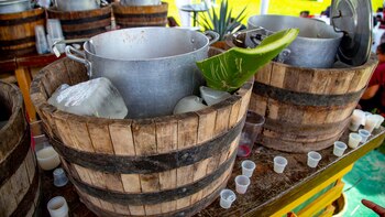 Imagen S6XRGNOYNVHLJKTJ2OBQFO4QOA