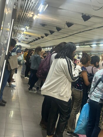 Revisión de tren el Línea