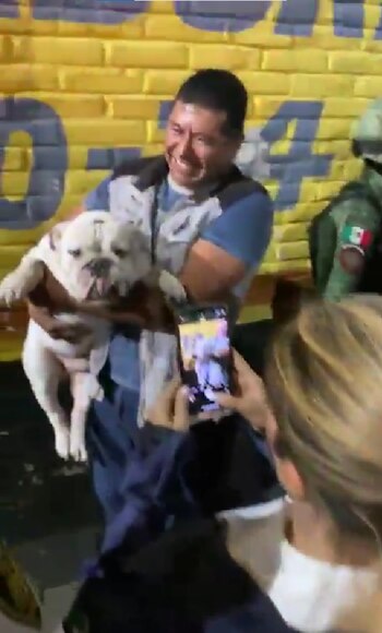 El dueño del can no