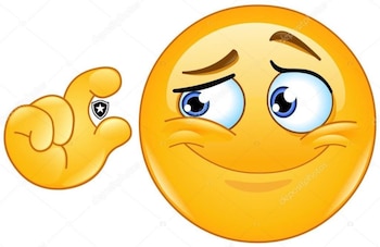 Casi no se ve Botafogo de lo chico que es - crédito redes sociales