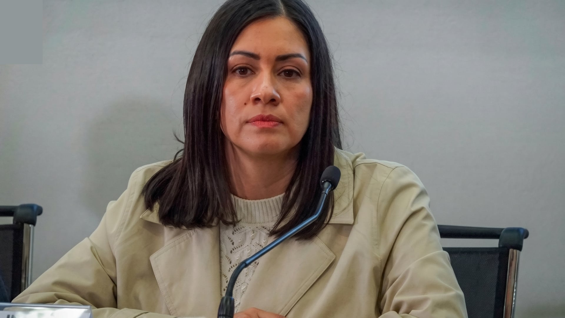 Blanca Cruz García, presidenta interina del INE, enfrenta polémica por dar contrato a empresa investigada por la ASF. (YouTube: INE)