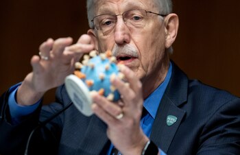 El Director de los Institutos