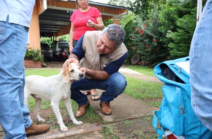 Un funcionario revisa un perro en la comunidad de Boró, en la provincia de Veraguas, sospechoso de estar afectado por el distemper canino. (MINSA)