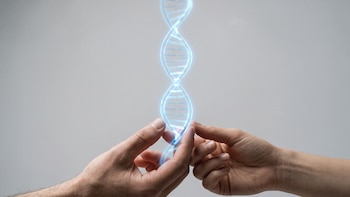 ¿Nació infiel o es su decisión? La ciencia revela quiénes tienen el “gen de la infidelidad”