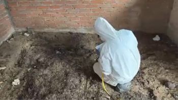 Encuentran restos humanos en una casa de Zacatecas: son al menos cuatro cuerpos, informa fiscal